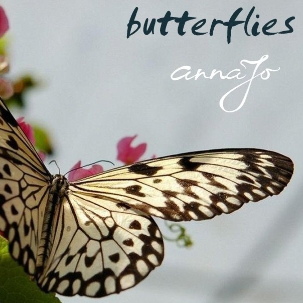Butterflies cover, showing a black and gold butterfly perching among pink flowers